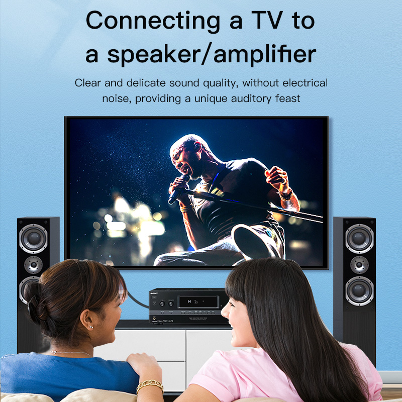 CHOSEAL RCAケーブル デジタル同軸オーディオケーブ - Audio Home Cinema のレビューと価格